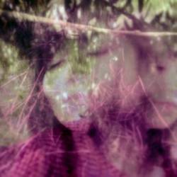 Tip Top Tellix : Tip Top Tellix